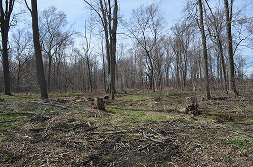 Property photo 164 - REAL ESTATE & PERSONAL PROPERTY AUCTION, 140 Acres offered in 8 Tracts or Combinations in Steuben County